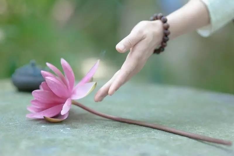 Ý nghĩa của đời người là ở sự phó xuất, là ở việc cho đi, chứ không phải nhận lại, cũng không phải là giành giật, bon chen.